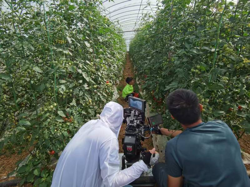 任城区产品宣传视频拍摄公司进阶指南，助力品牌抢占传播高地